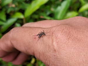 AdobeStock_1114069718