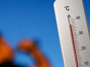 canicule
