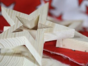 Vignette votation constitution