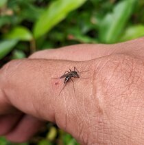 AdobeStock_1114069718