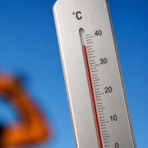 canicule