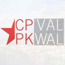 logo caisse dig copie